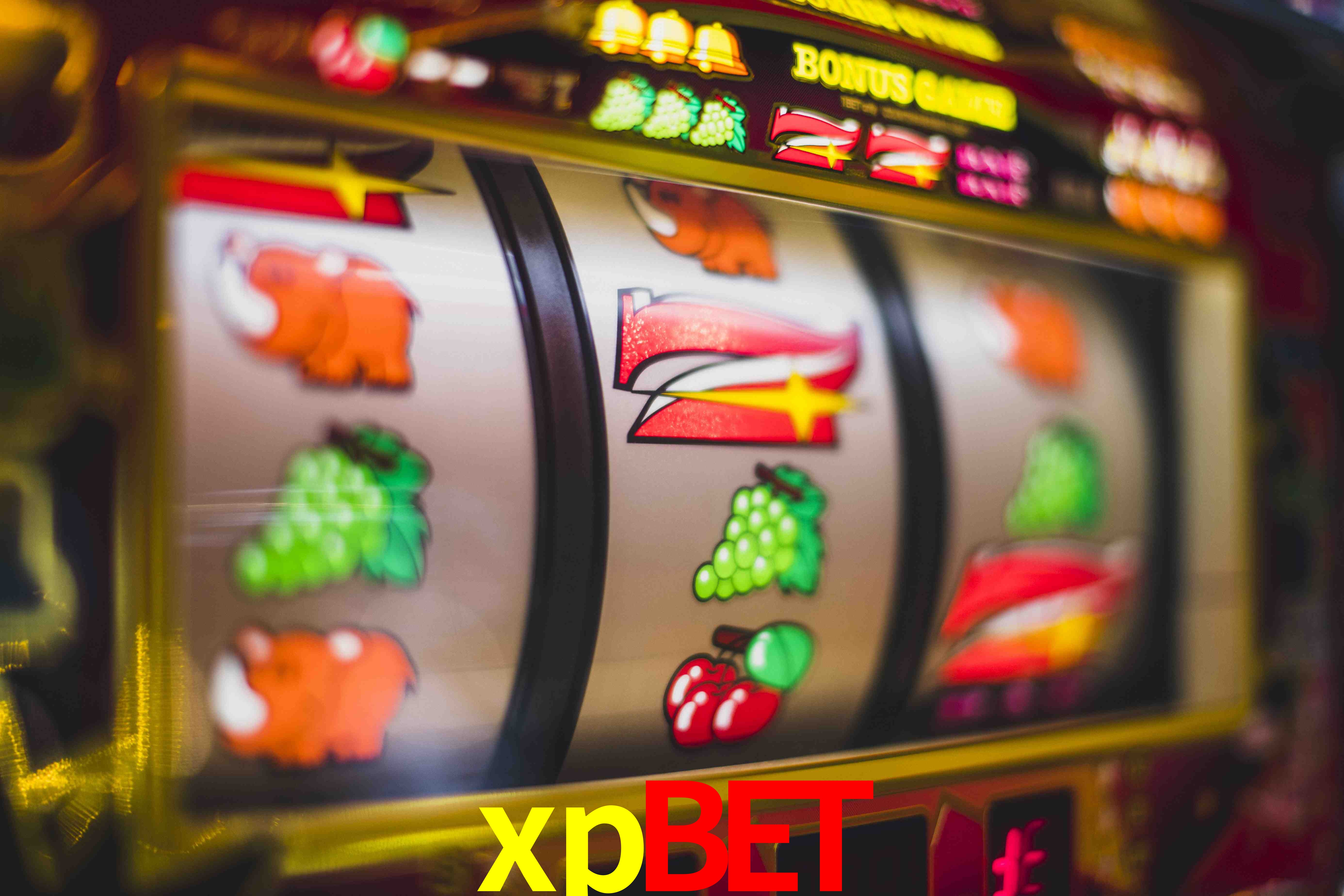 Sports Statistics xpbet